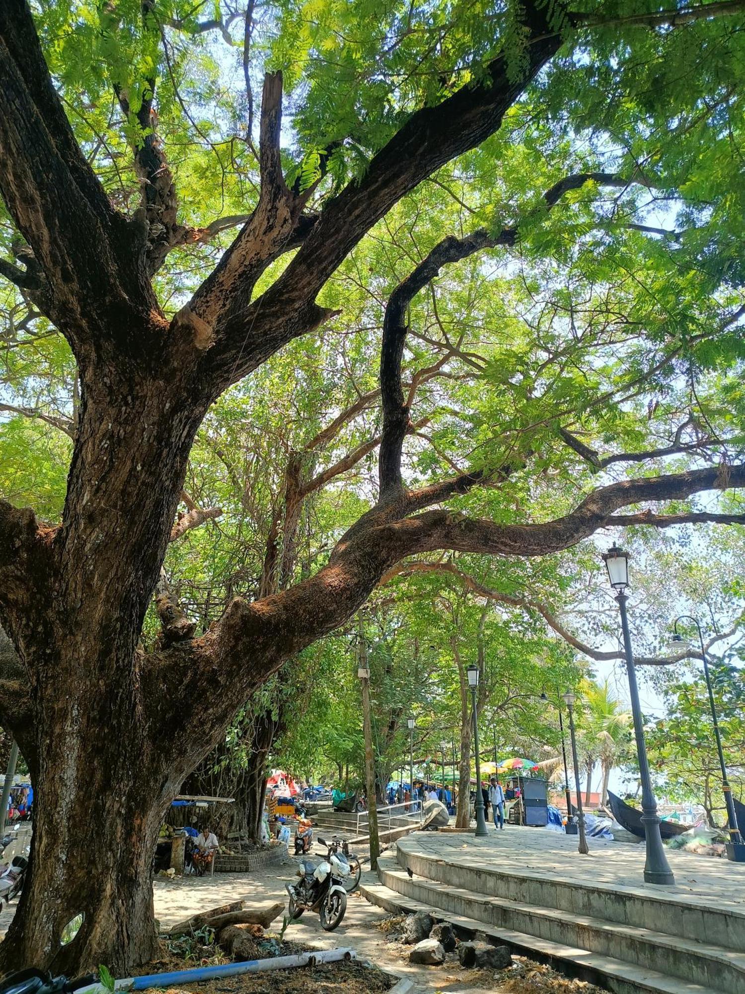 Elzas Fort Inn Kochi Bagian luar foto